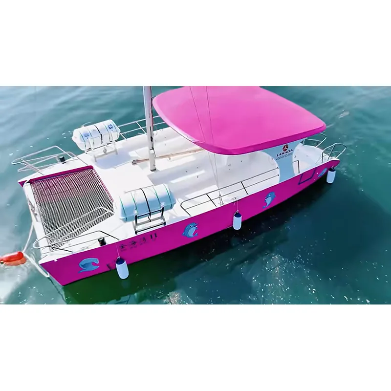 Catamaran commercial de 30 pieds